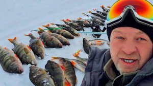 КРУПНЫЙ ОКУНЬ НА ГОЛЬЯНА.НАЧАЛСЯ ВЕСЕННИЙ КЛЕВ?