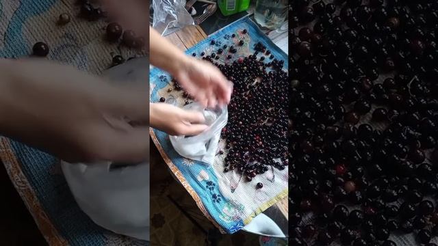 Как заморозить ягоды, чтобы не получился замороженный ком #ягодыназиму
