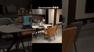 Котики , такие котики 🐈