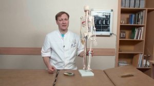 КРЕСТООБРАЗНЫЕ СВЯЗКИ | Как распознать и лечить повреждения