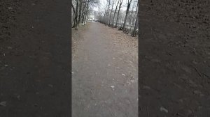 Из дворов Искровского по ул. Подвойского к кафе.          " Камелот"
