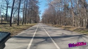 Весна -  погода начинает налаживается)