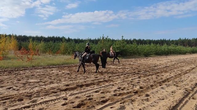 Утренняя прогулка. Кружок смотреть онлайн