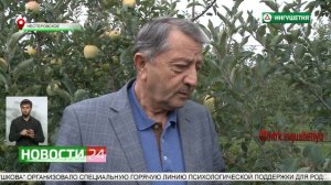 "Сад - гигант Ингушетия" приглашает на работу.
