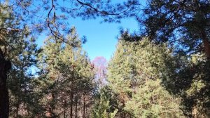 Как правильно организовать свой отдых?