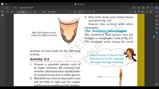 NUTRITION IN ANIMALSCLASS 7 SCIENCE NCERTCHAPTER 2nutrition plantnutrition upscpreparation