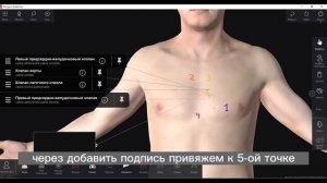 Аускультация сердца. Точки аускультации сердца