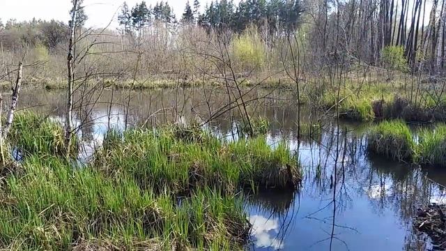 Ерик и пойма - весна 2020 смотреть онлайн