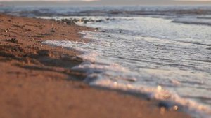 Закат мира_11