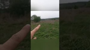 Слив отходов в реку озёра фикалий