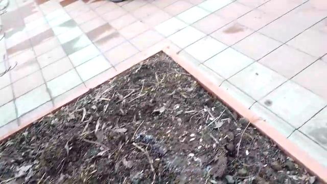 Без дураков и жизнь скучна.Человек и микро биота №445/24 смотреть онлайн