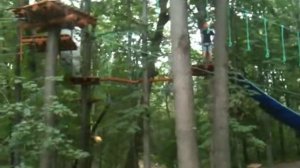 Нескучный сад