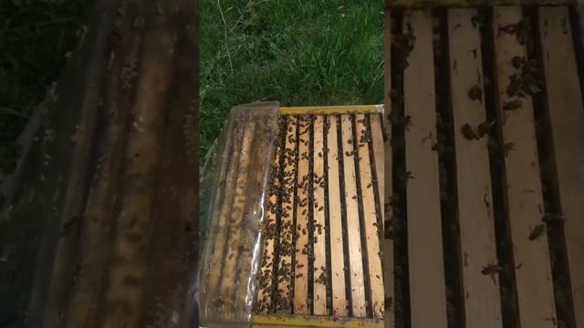 Один из лëгких способов создания стартëра для вывода маток. смотреть онлайн