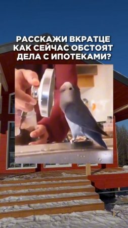 Расскажи вкратце как дела с ипотеками