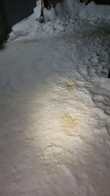 Жёлтый снег смотреть онлайн