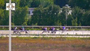 11.09.2022 - Приз памяти Г.В.Кайшева на лошадях 3-х лет чистокровной верховой породы - Стиль