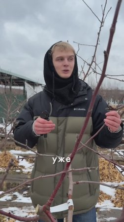 Просто Обрежьте Так!