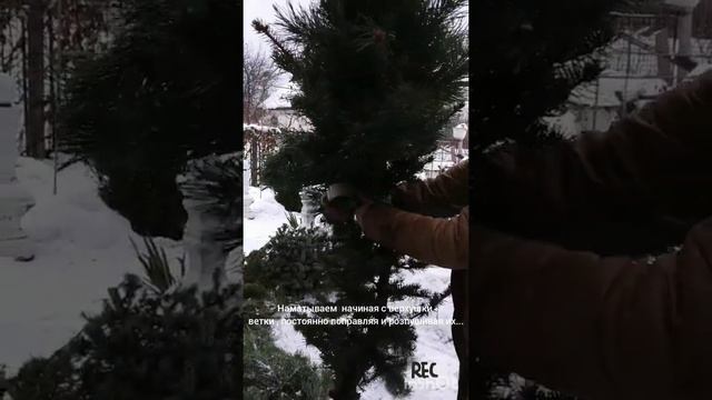 Ёлка своими руками 💕👌 смотреть онлайн