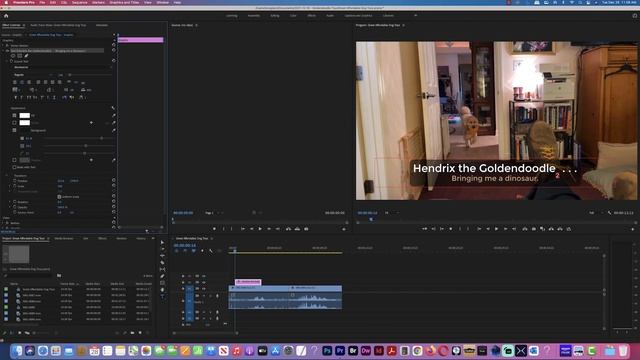 How to Create Titles and Edit Text in Adobe Premiere Pro 2021