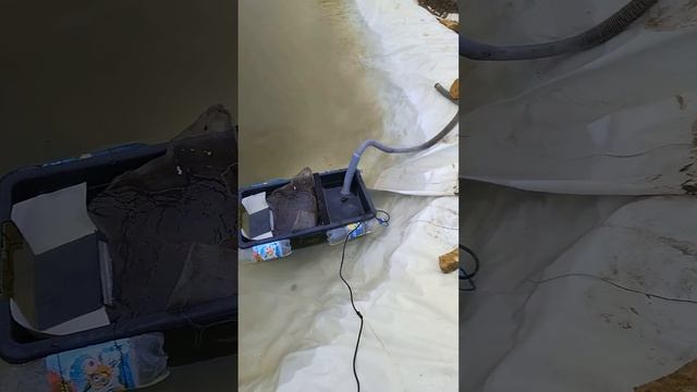 скімер для ставка смотреть онлайн