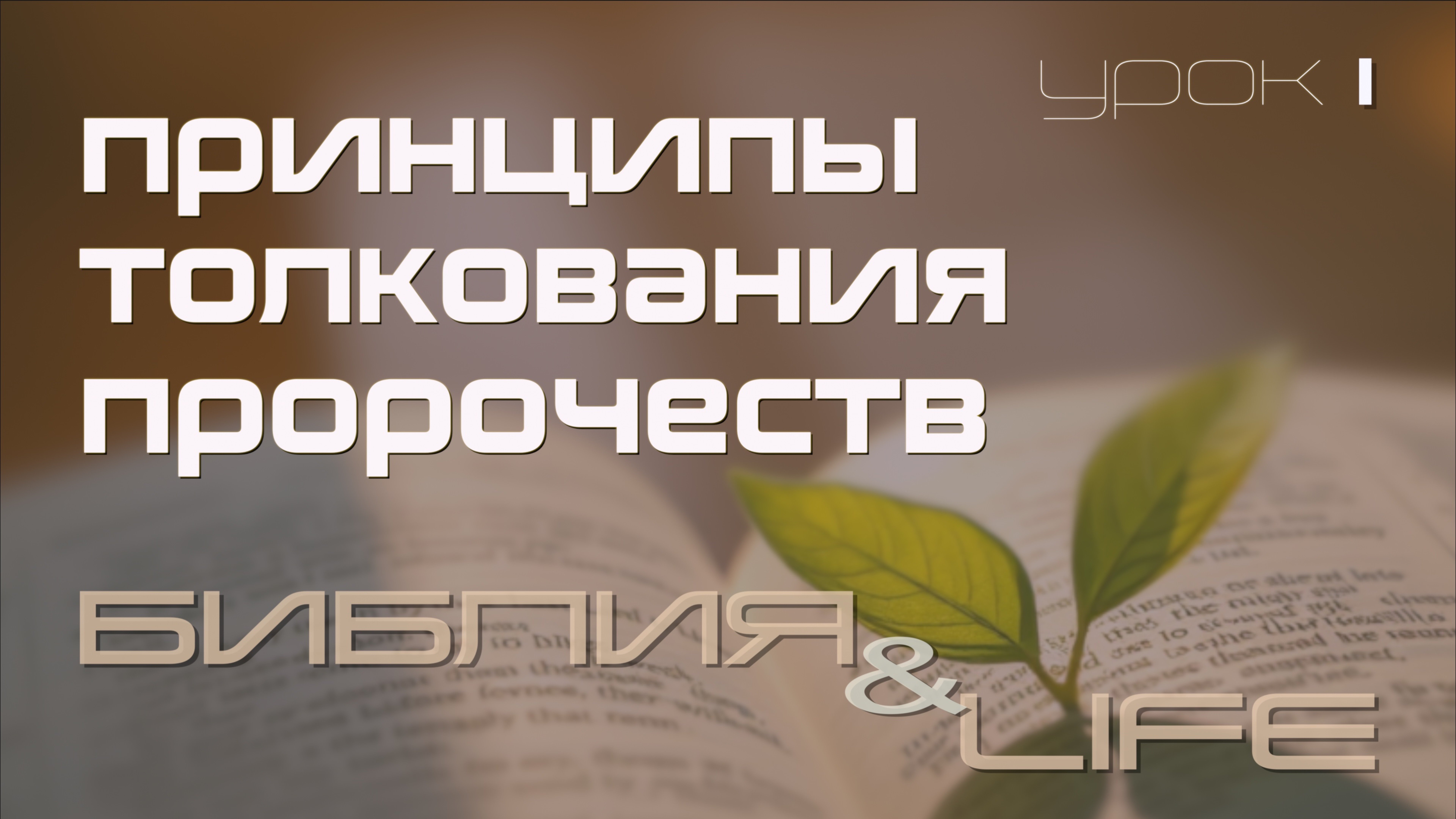 ПРИНЦИПЫ ТОЛКОВАНИЯ ПРОРОЧЕСТВ | 1 УРОК