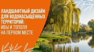 Деревья, переносящие застой воды: выбор для проблемных участков | "Питомник Савватеевых"