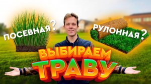 Посевной или рулонный газон?