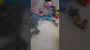 34 серия раздор