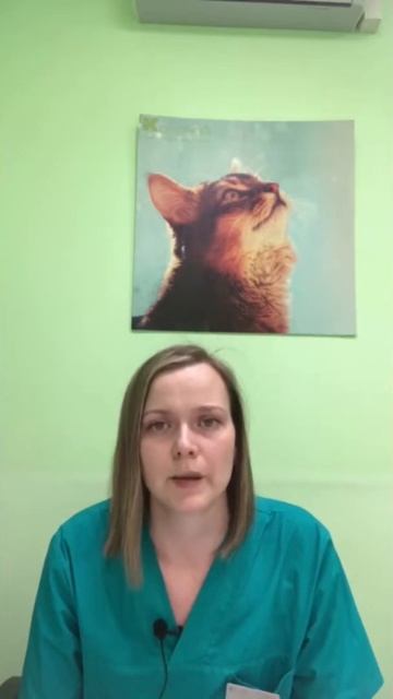 заворот век смотреть онлайн