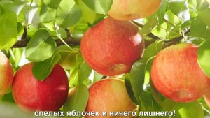 Вкусный 100% сок «Фруктовый сад»  2019