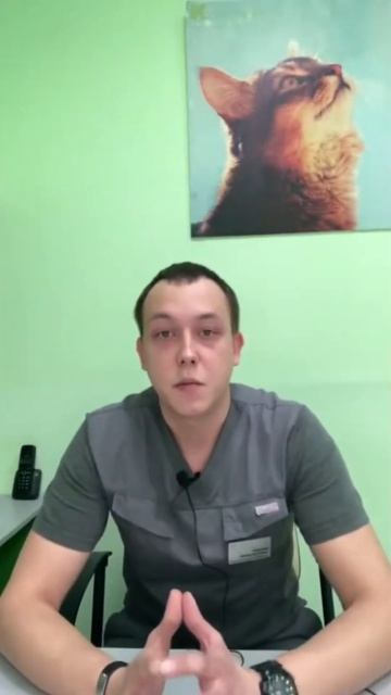 Анестезия у пожилых животных смотреть онлайн