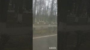 первый влог💞
прогулка/ БАСИКИ