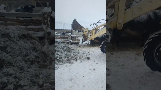 Трактор мтз 82 Чистка навоза на Мтз 82