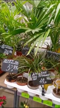 МАГАЗИН ЕВРООПТ🌷 ФЕВРАЛЬ 2022 ГОДА🌿