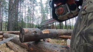 Баня в лесу из валежника.Сруб бани в одиночку #сруб #баня