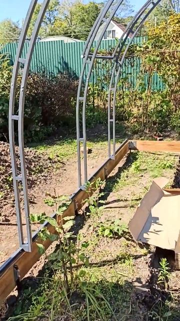 Каркас теплицы Vinterhas3*8 м. на фундаменте из бруса)) смотреть онлайн