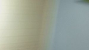 Баски Дима на ночёвки у нас