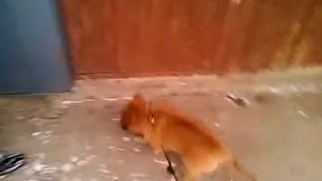 Как открыть дверь любово подьезда смотреть онлайн