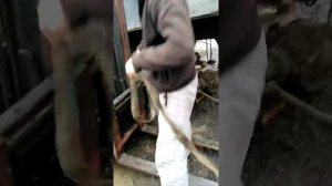 Завершающая стадия замены моста на зил бычок) переставляем с одной машины на другую)