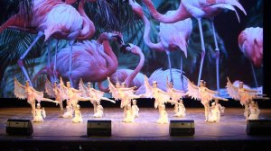 Балетная студия «Грация» - Ф. Рамирез. Розовый фламинго (постановка Г. Епанчинцевой)