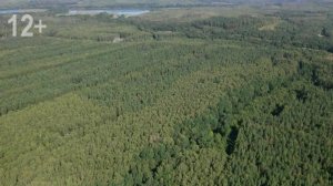 Новая техника в Моршанском лесхозе