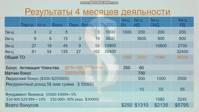 InCruises - просчитанный доход согласно плану вознаграждений