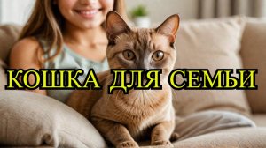 Бурманская кошка: идеальный питомец для семьи!