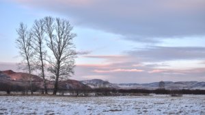 ЯНВАРЬ 2025 || Магазин Братьев Елисеевых, Музей Л.Р. Кызласова В Абакане И Сулекская Писаница