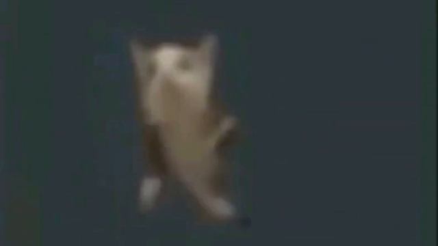 ЧИПИ ЧИПА ЧИПА | 1 ЧАС