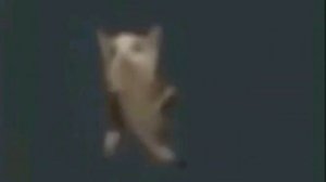 ЧИПИ ЧИПА ЧИПА | 1 ЧАС