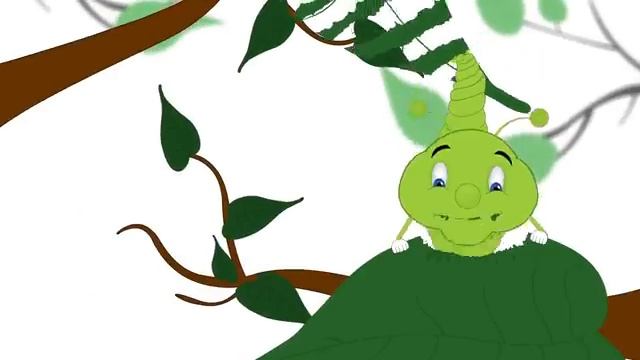 From Caterpillar to Butterfly