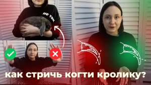 КАК ПОДСТРИЧЬ КОГТИ КРОЛИКУ? КАК ПРАВИЛЬНО?