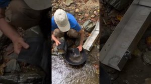 Поиск золотых самородков на горном ручье!