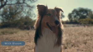 Dehancer For DaVinci Resolve